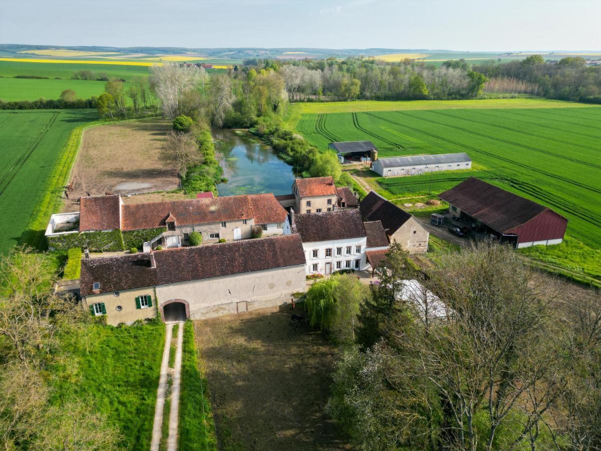 Le Moulin Neuf Villa Brienon-sur-Armancon Luaran gambar