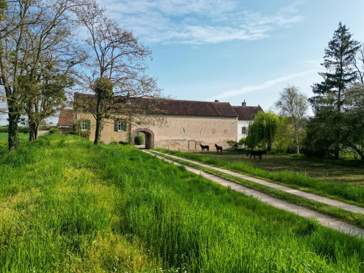 Le Moulin Neuf Villa Brienon-sur-Armancon Luaran gambar