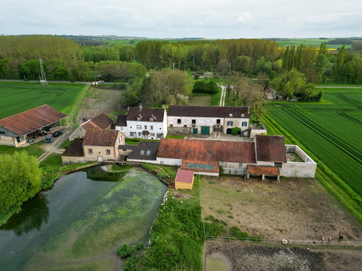 Le Moulin Neuf Villa Brienon-sur-Armancon Luaran gambar