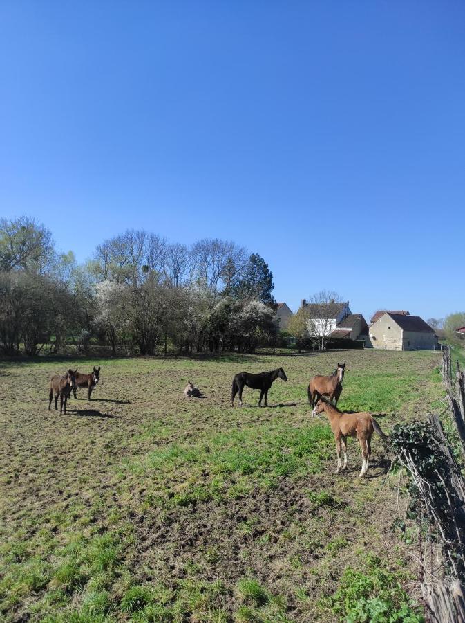 Le Moulin Neuf Villa Brienon-sur-Armancon Luaran gambar