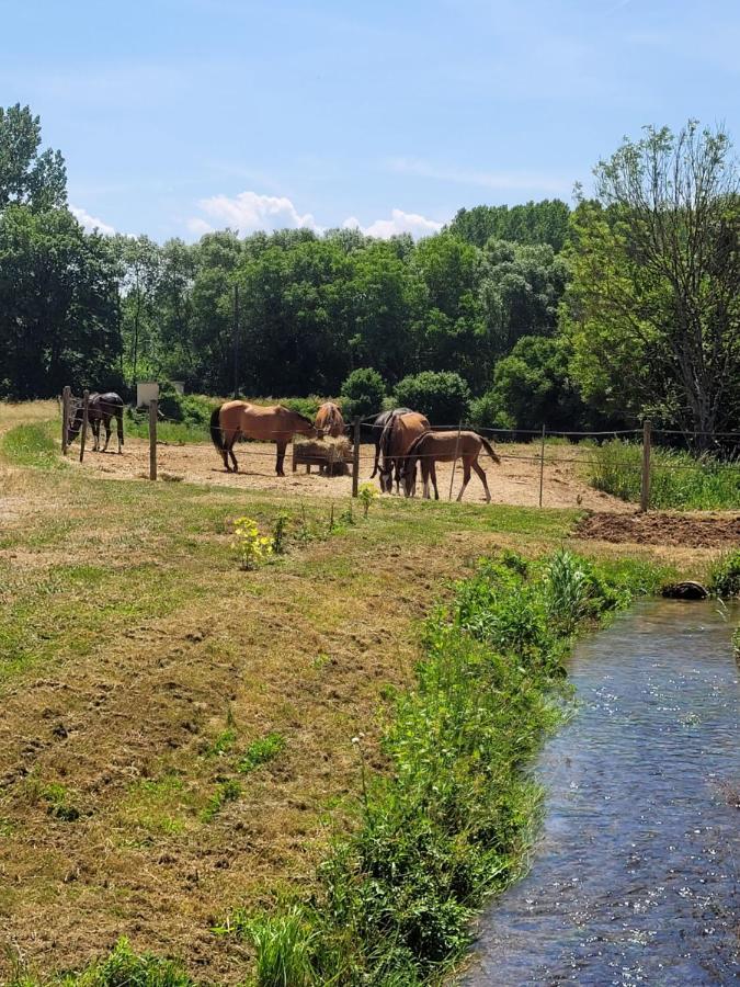 Le Moulin Neuf Villa Brienon-sur-Armancon Luaran gambar